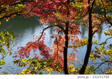 南伊奈ヶ湖の紅葉 南伊奈ヶ湖の紅葉 132251789