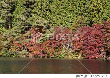 南伊奈ヶ湖の紅葉 南伊奈ヶ湖の紅葉 132251793