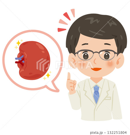 健康な脾臓と白衣を着た男性医師 上半身イラスト 健康な脾臓と白衣を着た男性医師 上半身イラスト 132251804