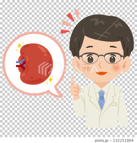 健康な脾臓と白衣を着た男性医師 上半身イラスト 健康な脾臓と白衣を着た男性医師 上半身イラスト 132251804
