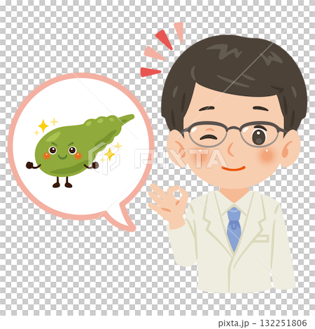 A healthy gallbladder character and a male doctor in a white coat, upper body illustration A healthy gallbladder character and a male doctor in a white coat, upper body illustration 132251806