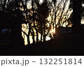 冬木立 132251814