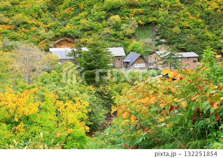 玉川温泉 紅葉風景 玉川温泉 紅葉風景 132251854