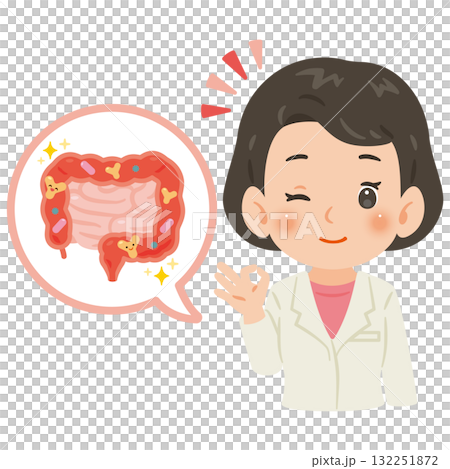 健康な腸内環境と白衣を着た女性医師　上半身イラスト 132251872
