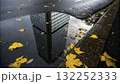 Reflection of a modern building in a puddle surrounded by autumn leaves on a rainy day 132252333