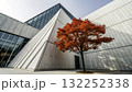 Striking red tree contrasts with modern architecture in urban setting during clear blue sky 132252338