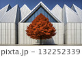 Vibrant red maple tree stands out against modern architectural design on a clear sunny day 132252339
