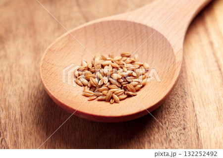 Wooden spoon with pile of raw cat grass seeds ready to grow close up Wooden spoon with pile of raw cat grass seeds ready to grow close up 132252492