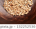 Cat grass seeds. Fresh raw grains. Animal vitamin supplement 132252530