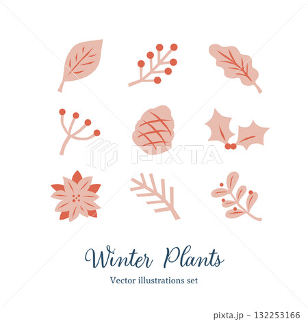 冬の植物セット 冬の植物セット 132253166