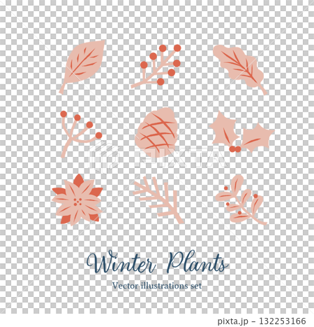冬の植物セット 冬の植物セット 132253166