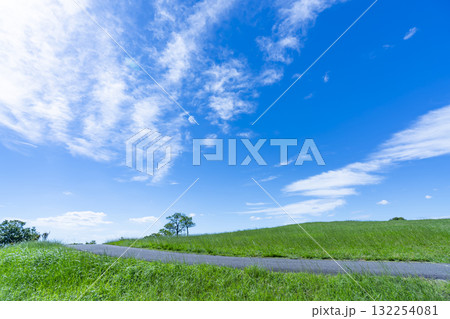 青空と雲と草原 132254081