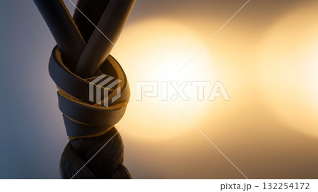 Closeup of a leather strap wrapped around a braided horse tail with warm dramatic lighting Closeup of a leather strap wrapped around a braided horse tail with warm dramatic lighting 132254172