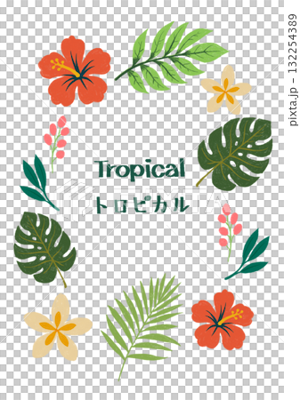 Tropical plant materials such as hibiscus, monstera, and plumeria Tropical plant materials such as hibiscus, monstera, and plumeria 132254389
