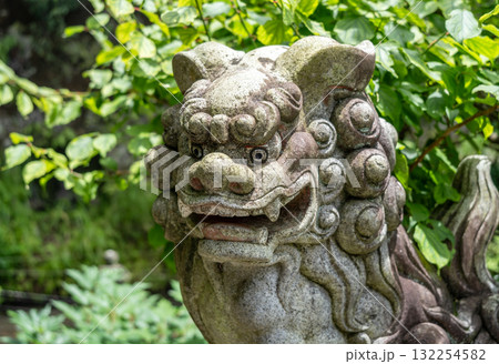 Komainu statue at Sasuke Inari-jinja temple in Kamakura, Japan Komainu statue at Sasuke Inari-jinja temple in Kamakura, Japan 132254582
