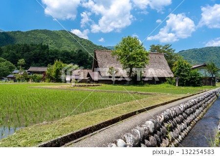 Traditional houses and rice fields in Shirakawa-go, rural Japan Traditional houses and rice fields in Shirakawa-go, rural Japan 132254583
