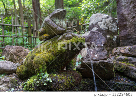Frog fountain on Higashiyama Walking Course in Takayama, Japan 132254603
