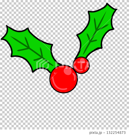 ヒイラギ　柊　シンプル 132254873