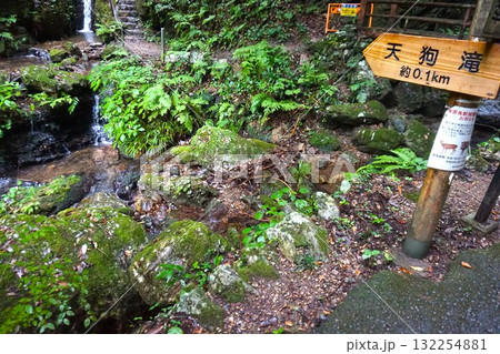 黒山三滝　天狗滝 132254881