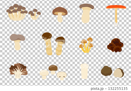 A set of outlineless mushroom illustrations A set of outlineless mushroom illustrations 132255135