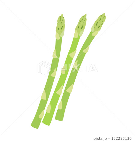 アスパラガスのシンプルなイラスト アスパラガスのシンプルなイラスト 132255136