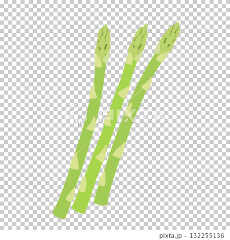 アスパラガスのシンプルなイラスト アスパラガスのシンプルなイラスト 132255136
