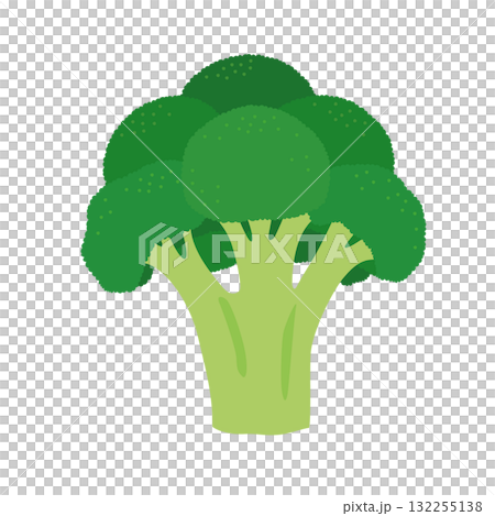 ブロッコリーのシンプルなイラスト 132255138