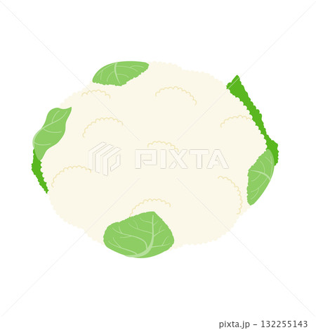 カリフラワーのシンプルなイラスト 132255143