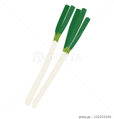 長ネギのシンプルなイラスト 長ネギのシンプルなイラスト 132255145