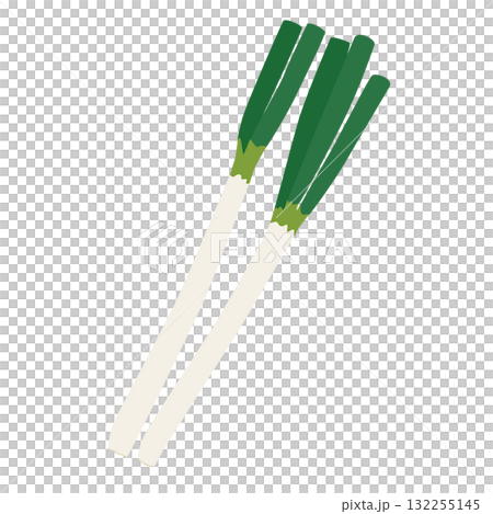 長ネギのシンプルなイラスト 長ネギのシンプルなイラスト 132255145