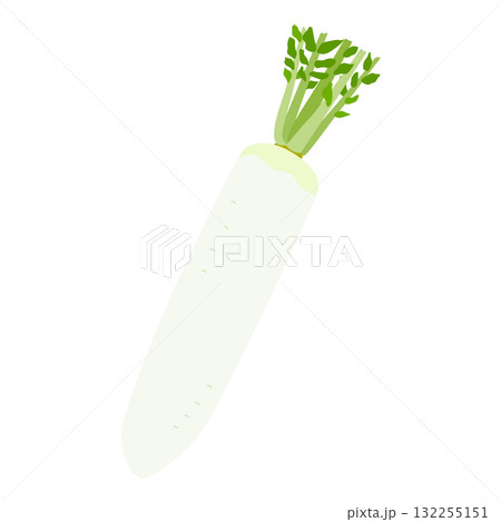 大根のシンプルなイラスト 132255151