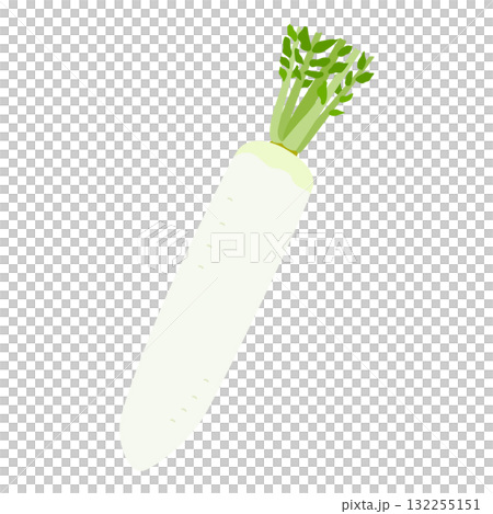 大根のシンプルなイラスト 132255151