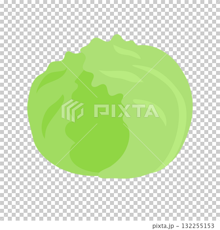 生菜的簡單插圖 132255153