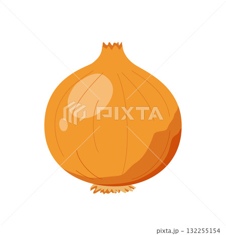 玉ねぎのシンプルなイラスト 玉ねぎのシンプルなイラスト 132255154