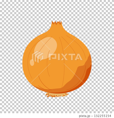 洋蔥的簡單插圖 洋蔥的簡單插圖 132255154