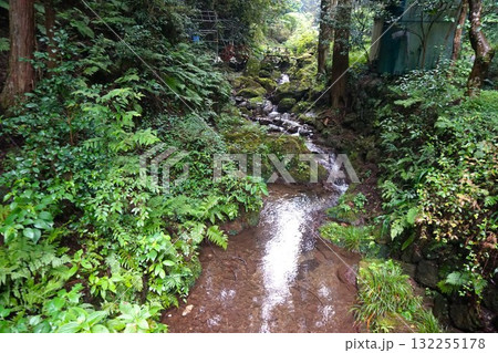 黒山三滝　きれいな水 132255178