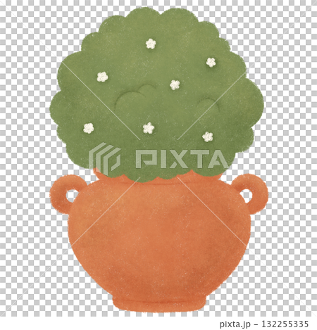 Capybara garden  132255335