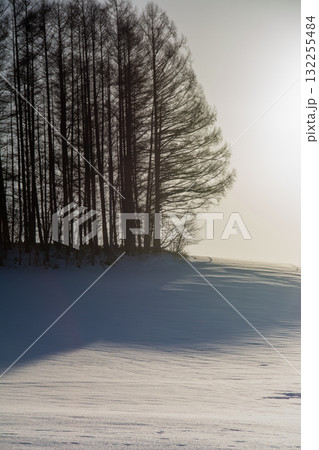 雪の丘の上のカラマツ林と夕陽 雪の丘の上のカラマツ林と夕陽 132255484