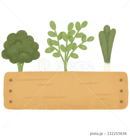 Capybara garden  132255636