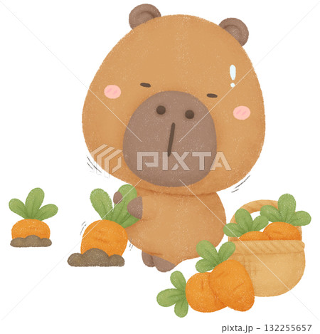 Capybara garden  132255657