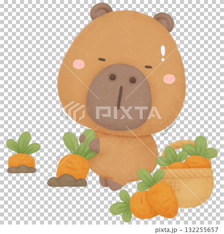 Capybara garden  132255657