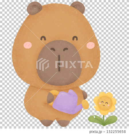 Capybara garden Capybara garden 132255658