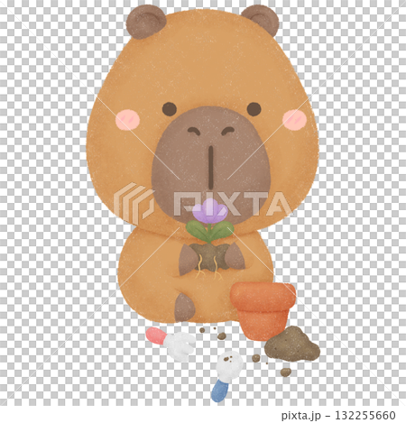 Capybara garden  132255660