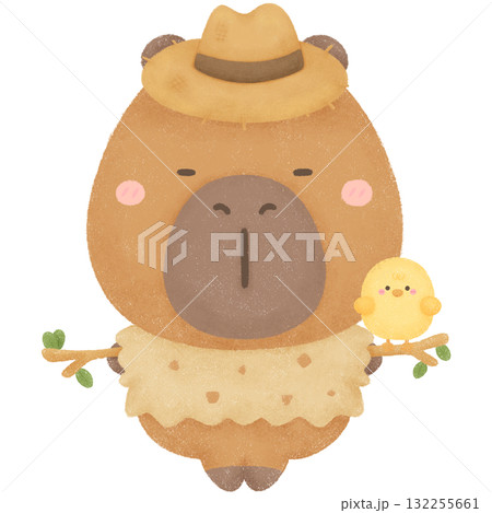 Capybara garden  132255661