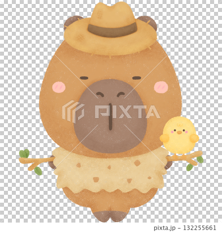 Capybara garden  132255661