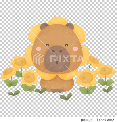 Capybara garden  132255662