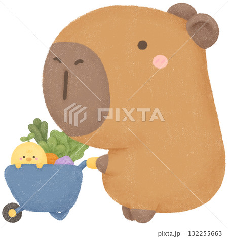 Capybara garden  132255663