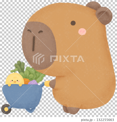 Capybara garden  132255663