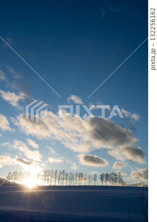 雪の丘の上のシラカバ並木と夕暮れの空 132256162