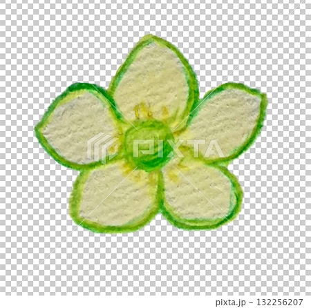 水彩色鉛筆で描いたいちごの花 水彩色鉛筆で描いたいちごの花 132256207